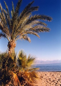 foto gramatai 2005 102 